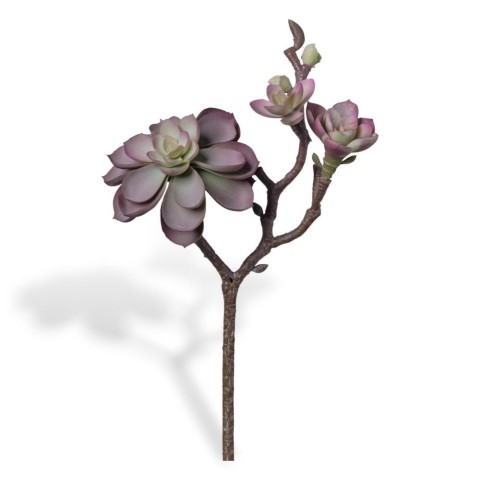 RAMO PIANTA GRASSA CM28 PURPLE